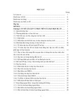 Tổ chức dạy học dự án thông qua hoạt động ngoại khóa nội dung kiến thức phần Công-năng lượng vật lý lớp 10 nâng cao