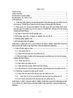 Giải pháp phát triển thương mại sản phẩm bao bì của công ty TNHH Hoa Thanh trên thị trường Thành phố Hải Phòng