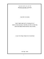 Phát triển đội ngũ cán bộ quản lý Trung tâm giáo dục thường xuyên cấp huyện, tỉnh Thái Bình theo hướng chuẩn hóa