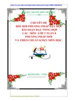 CHUYÊN ĐỀ  ĐỔI MỚI PHƯƠNG PHÁP DẠY HỌC: BÀI SOẠN DẠY TỔNG HỢP CÁC MÔN  LỚP 3 TUẦN 8  PHƯƠNG PHÁP MỚI VÀ THEO CHUẨN KTKN MÔN HỌC.