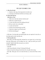 Giáo án dạy thêm môn Văn khối 7