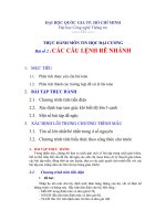 Thực hành tin học đại cương tuần 2