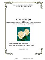SKKN MỘT SỐ PHƯƠNG PHÁP TÍCH HỢP GIÁO DỤC BẢO VỆ MÔI TRƯỜNG TRONG GIẢNG DẠY ĐỊA LÝ BẬC THCS