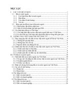 Thực trạng đầu tư trực tiếp nước ngoài FDI tại Việt Nam