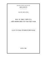 Đầu tư trực tiếp của liên minh Châu Âu vào Việt Namtt