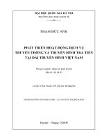 Phát triển hoạt động dịch vụ truyền thông và truyền hình trả tiền tại Đài Truyền hình Việt Nam