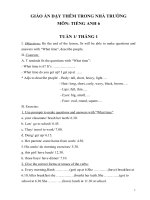 Giáo án dạy thêm môn Tiếng Anh lớp 6