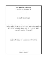 Ngăn ngừa và xử lý nợ quá hạn trong hoạt động tín dụng tại Ngân hàng Đầu tư và phát triển chi nhánh tỉnh Vĩnh Phúc