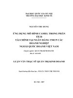 Ứng dụng mô hình camel trong phân tích tài chính tại ngân hàng TMCP các doanh nghiệp ngoài quốc doanh Việt Nam