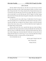 Một số giải pháp phát triển mặt hàng xuất khẩu sang thị trường Đông Nam Á của Công ty cổ phần Quốc tế Sơn Hà