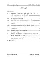 Báo cáo thực tập tổng hợp tại Công ty Cổ phần Đầu tư Phát triển Bưu chính  Viễn thông