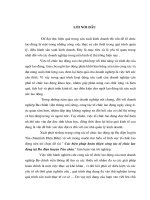 thực trạng công tác tổ chức lao động tại công ty bủa chùa, tỉnh điện biên