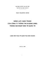 Năng lực cạnh tranh của Công ty Thông tin Di động ( VMS ) trong hội nhập kinh tế quốc tế