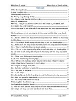 Hoàn thiện công tác tổ chức mạng lưới bán hàng tại công ty TNHH NN MTV Xuân Hòa