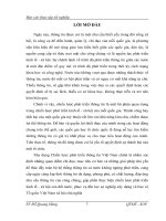 Báo cáo thực tập tốt nghiệp: Một số giải pháp xây dựng và thực hiện chiến lươc kinh doanh tại Công ty Cổ phần điện tử và truyền hình cáp Việt Nam