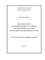 Chất lượng cho vay đối với doanh nghiệp vừa và nhỏ tại Ngân hàng TMCP Sài Gòn Thương tín chi nhánh Thăng Long