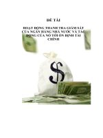 Đề tài Hoạt động thanh tra giám sát của ngân hàng nhà nước và tác động của nó tới ổn định tài chính