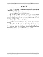 Phân tích TOWS hoạch định chiến lược kinh doanh của công ty TNHH thương mại Nga Việt