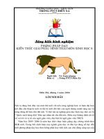 skkn phương pháp dạy kiến thức giải phẫu hình thái môn sinh học 8