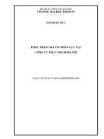 Phát triển nguồn nhân lực tại Công ty Thực phẩm Hà Nội