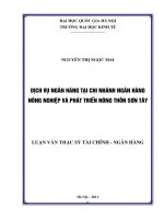Dịch vụ ngân hàng tại chi nhánh ngân hàng nông nghiệp và phát triển nông thôn Sơn Tây