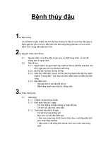 Bệnh thủy đậu: nguyên nhân, triệu chứng, chẩn đoán, điều trị. phòng bệnh