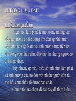 Báo cáo tiểu luận Lạm phát ở Việt Nam và những ảnh hưởng của nó tới đời sống cuả người thu nhập thấp hiện nay