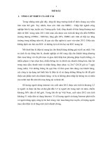 Hoàn thiện mô hình bán lẻ điện tử qua website www.binhantravel.vn của Công ty Cổ phần Dịch vụ Du Lịch Thương mại Bình An