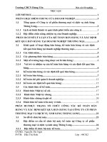 Kế toán bán hàng và xác định kết quả bán hàng tại Công ty Cổ phần thương mại và dịch vụ ánh sáng Thăng Long