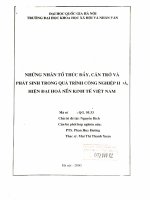 Những nhân tố thúc đẩy, cản trở và phát sinh trong quá trình công nghiệp hóa, hiện đại hoá nền kinh tế Việt Nam