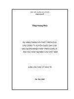 Sự hình thành và phát triển của các công ty xuyên quốc gia của các nước đang phát triển Châu Á - Bài học kinh nghiệm cho Việt Nam