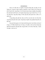 Thiết kế kỹ thuât thi công khai thác vàng sa phìn và tsu ha xã nậm sây huyện văn bàn   tỉnh lào cai