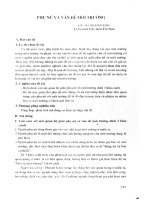 Phụ nữ và vấn đề môi trường