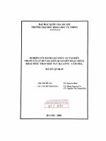 Nghiên cứu các yếu tố ảnh hưởng tới quá trình xác định axit lactic bằng phương pháp sắc ký lỏng hiệu năng cao (HPLC