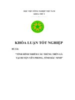 Tình hình nhiễm cầu trùng trên gà tại huyện Yên Phong, tỉnh Bắc Ninh