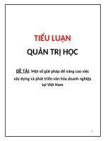 Một số giải pháp để nâng cao việc xây dựng và phát triển văn hóa doanh nghiệp tại Việt Nam