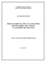 Tham gia hợp tác APEC của cộng đồng doanh nghiệp - thực trạng và giải pháp cho Việt Nam