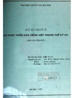 Một số vấn đề về sự phát triển của tiếng Việt trong thế kỷ XX