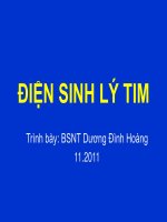 ĐIỆN SINH LÝ TIM