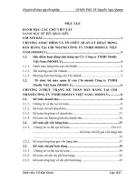 Hoàn thiện kế toán bán hàng tại chi nhánh Công ty TNHH Mosfly Việt Nam (MOSFLY)