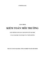 Giáo trình Kiểm toán môi trường