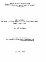 Nghiên cứu chế tạo vật liệu nhiệt điện mới trên cơ sở CoSb3