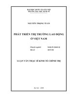 Phát triển thị trường lao động ở Việt Nam