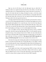 Xây dựng mô hình thương mại điện tử từng phần cho công ty CPTMTH Quảng Hòa