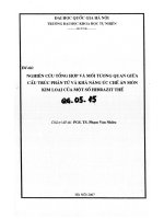 Nghiên cứu tổng hợp và mối tương quan giữa cấu trúc phân tử và khả năng ức chế ăn mòn kim loại của một số hiđrazit thế