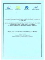 Multi-beneficial for mitigation of climate change in Vietnam and Indochina countries by development of biomass energy project