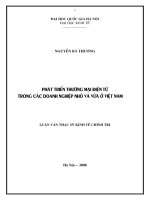 Phát triển thương mại điện tử trong các doanh nghiệp nhỏ và vừa ở Việt Nam