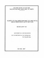 Xử lí tín hiệu thời gian thực sử dụng TMS320C6416T DSK