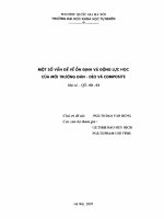 Một số vấn đề ổn định và động lực học của môi trường đàn-dẻo và composite