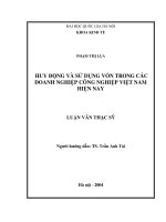 Huy động và sử dụng vốn trong các doanh nghiệp công nghiệp Việt Nam hiện nay